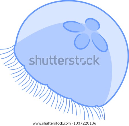 Blue jellyfish or Aurelia aurita on white background