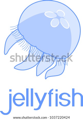 Blue jellyfish or Aurelia aurita on white background with title