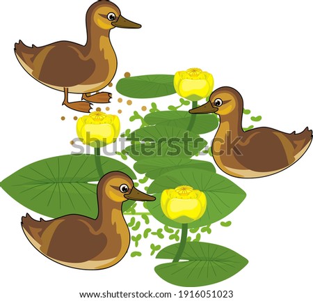 Shutterstock Puzzlepix