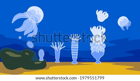 Life cycle of jellyfish. Sequence of stages of development of jellyfish from egg to adult animal in natural habitat