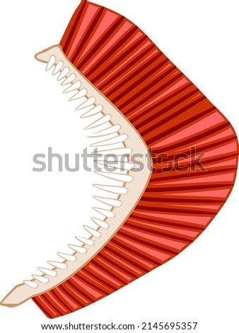 Fish gills isolated on white Сток-фото © 