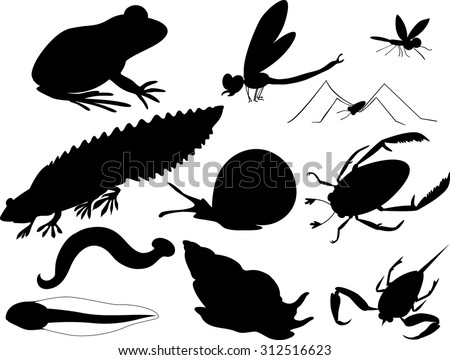 silhouettes of inhabitants of pond