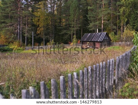 Russian baths, bath-house, forest