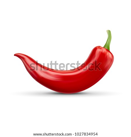 realistic Red hot natural chili pepper, isolated image with shadow vector illustration