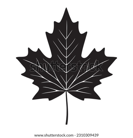 Maple leaf silhouette logo isolated on white background, vector icon