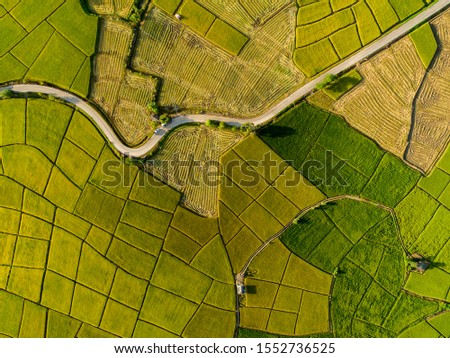 Similar – Image, Stock Photo Agriculture from Above