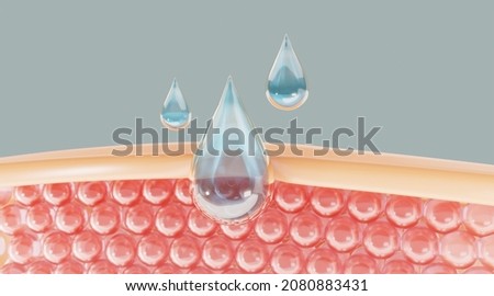 Water and vitamin drop on skin cell.
serum through the skin layer and reduce up saggy skin of the skin cell. 3d rendering.  
