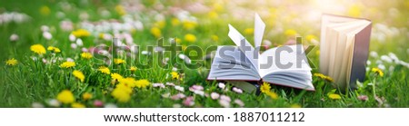 Open book in the grass on the field on sunny day in spring. Beautiful meadow with daisy and dandelion flowers at springtime. Reading and knowledge concept