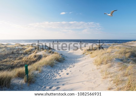 Similar – Foto Bild pfad ins meer buhne