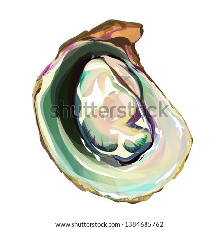 Oyster oyster watercolor hand-painted brush - Stock