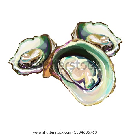 Oyster oyster watercolor hand-painted brush - Stock