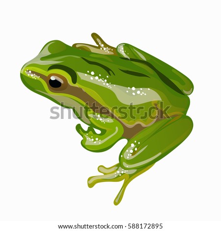 Black Frog Image Free Vector | 123Freevectors