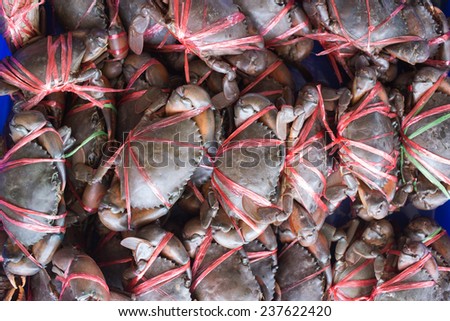 Mud crab or mangrove crab (Scylla) in market for sale