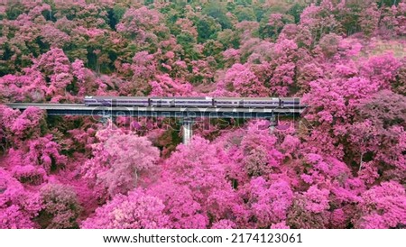 Similar – Image, Stock Photo Amazing view of railroad on dark forest