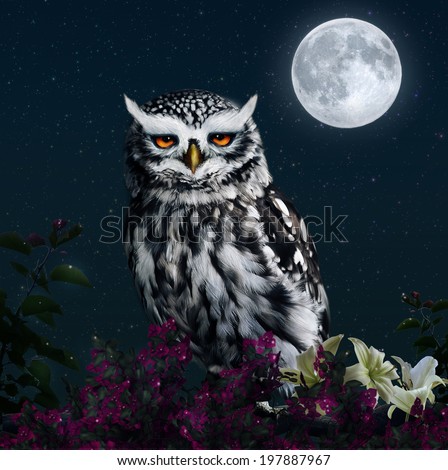 Owl in the night with full moon.  Elements of the image furnished by NASA.