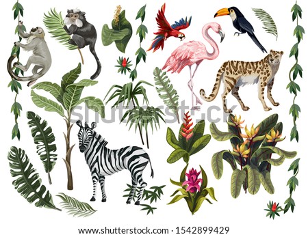 Jungle animals, flowers and trees isolated. Vector.