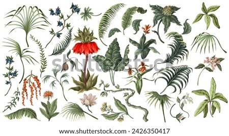 Similar – Image, Stock Photo Watercolor botanical leaves bouquet illustration