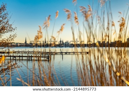 Similar – Image, Stock Photo at the Alster Hamburg Tree