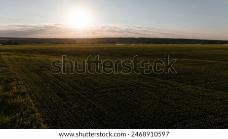 Foto Bild Panorama eines leeren gepflügten Feldes im frühen Frühjahr. Beginn der Gartensaison, Luftaufnahme