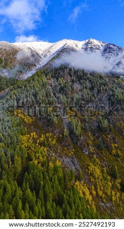 Similar – Image, Stock Photo #A9# Autumn in the forest