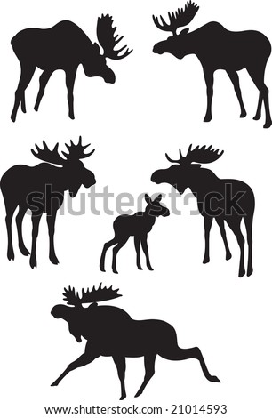 elk vector