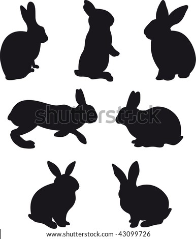 Rabbit vector