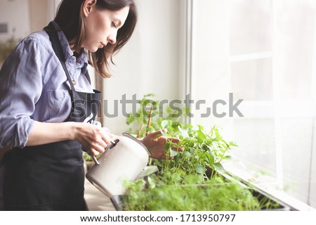 gardening home. woman replanting green pasture in home garden.indoor garden,room with plants banner Potted green plants at home, home jungle,Garden room,gardening, Plant room, Floral decor.