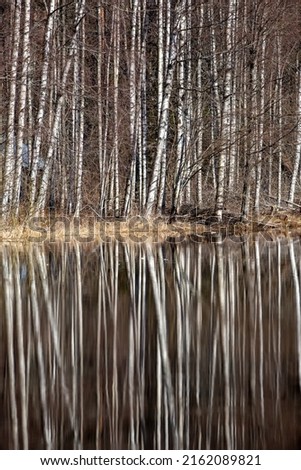 Similar – Image, Stock Photo Birch tree with reflection in bog lake, on a meadow is a bench