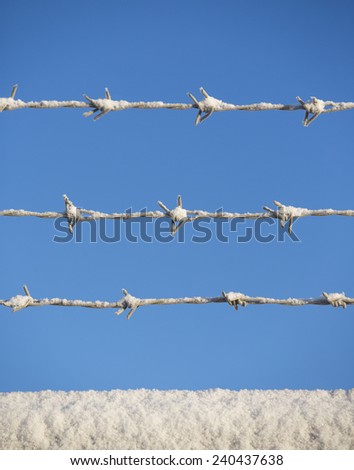 Barbed wire with snow