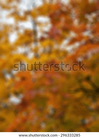 Autumn colors in blurred mode for use in for text backgrounds, website backgrounds, or anything else.