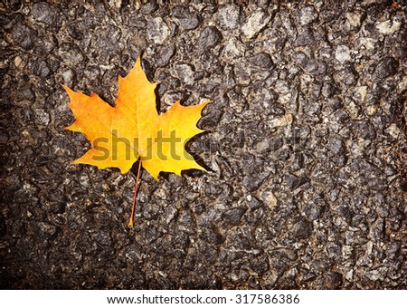 An image of a single yellow maple leaf against a wet asphalt. Image has a lot of room for text. Image also has a vintage effect applied.