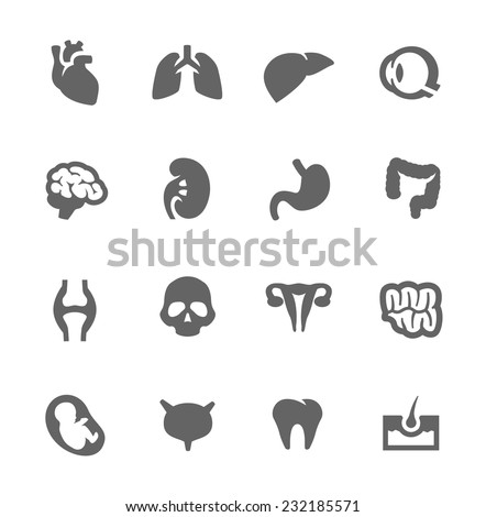 Simple Set of Organs Related Vector Icons for Your Design.