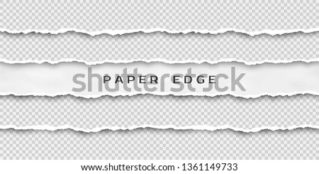 Set of torn horizontal seamless paper stripes. Paper texture with damaged edge isolated on transparent background. Vector illustration