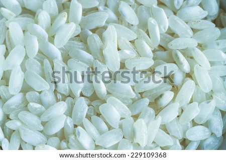 Arborio Rice/ Arborio rice is an Italian short-grain rice