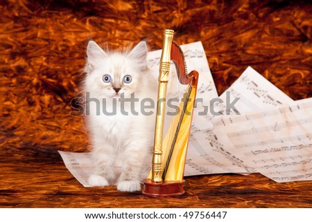Ragdoll kitten with miniature harp and music sheets