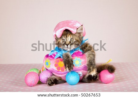 Cute kitten in Easter egg shape dress and hat, on pink background with easter eggs