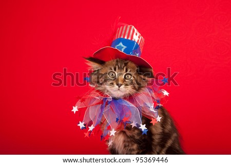 Cute cat with American flag hat on red background