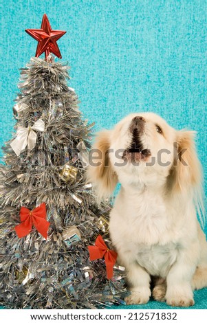 Puppy dog sitting next to silver Christmas tree singing carols on blue background