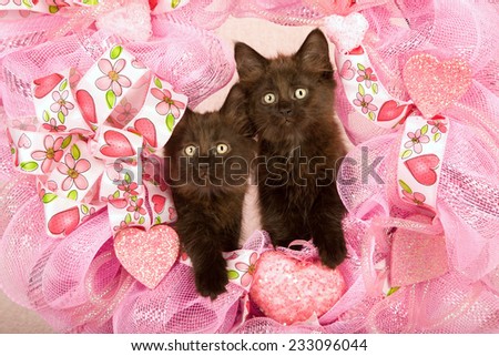 Valentine kittens sitting inside pink Valentine wreath on light pink background