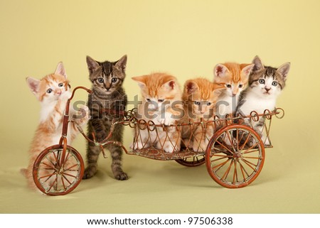 Playful kittens in miniature rustic delivery bike