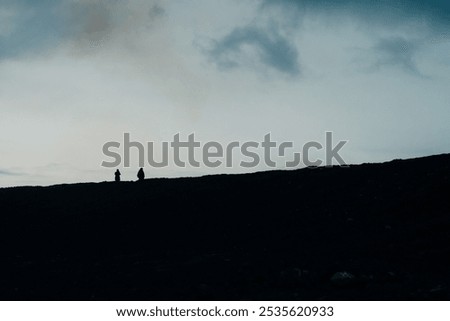 Similar – Foto Bild Dünen mit grünem Moos und hohem Gras und Schafen auf der Insel Sylt