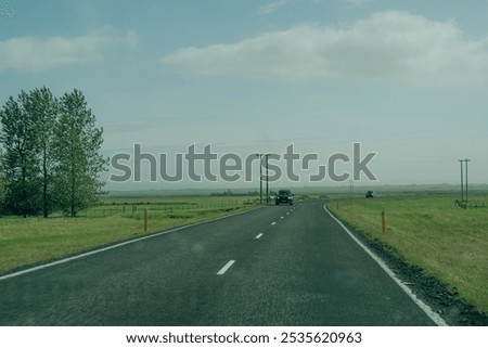 Similar – Foto Bild Dünen mit grünem Moos und hohem Gras und Schafen auf der Insel Sylt