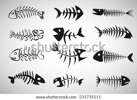 fishbone set on white background, vector illustration
