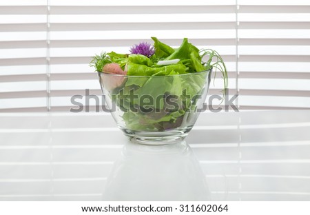 Spring onions, lettuce, dill and pea tendrils diet salad in glass bowl over jalousie background