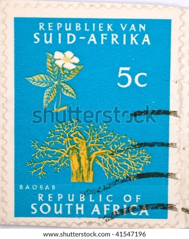 SOUTH AFRICA - CIRCA 1980: A stamp printed in South Africa shows image of a baobab tree, series, circa 1980