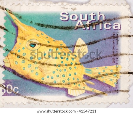 SOUTH AFRICA - CIRCA 2000: A stamp printed in South Africa shows image of a Longhorn cowfish (Lactoria cornuta), series, circa 2000
