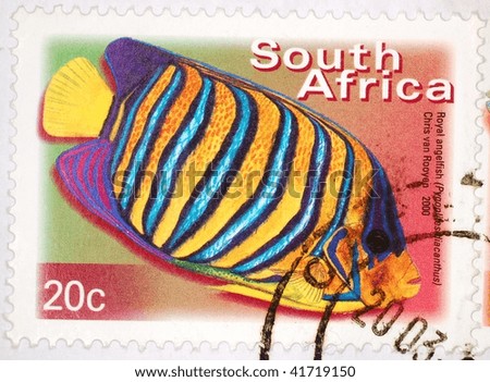 SOUTH AFRICA - CIRCA 2003: A stamp printed in South Africa shows image of a royal angelfish (Pygoplites diacanthus), series, circa 2003