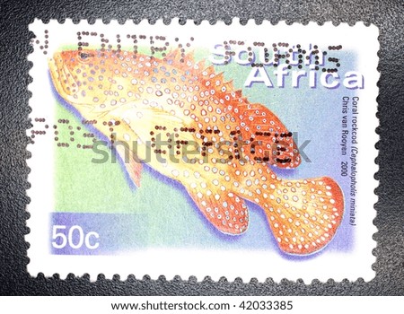 SOUTH AFRICA - CIRCA 2000: A stamp printed in South Africa shows image of a coral rockcod (Cephalopholis miniata), series, circa 2000