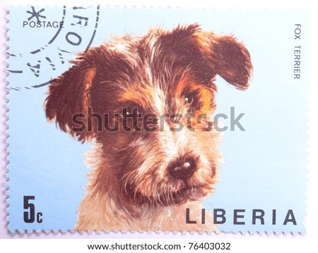 LIBERIA - CIRCA 1974: a stamp from Liberia shows image of a fox terrier, circa 1974