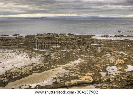Fife Coastal Landscape looking out towards East Lothian, Scotland